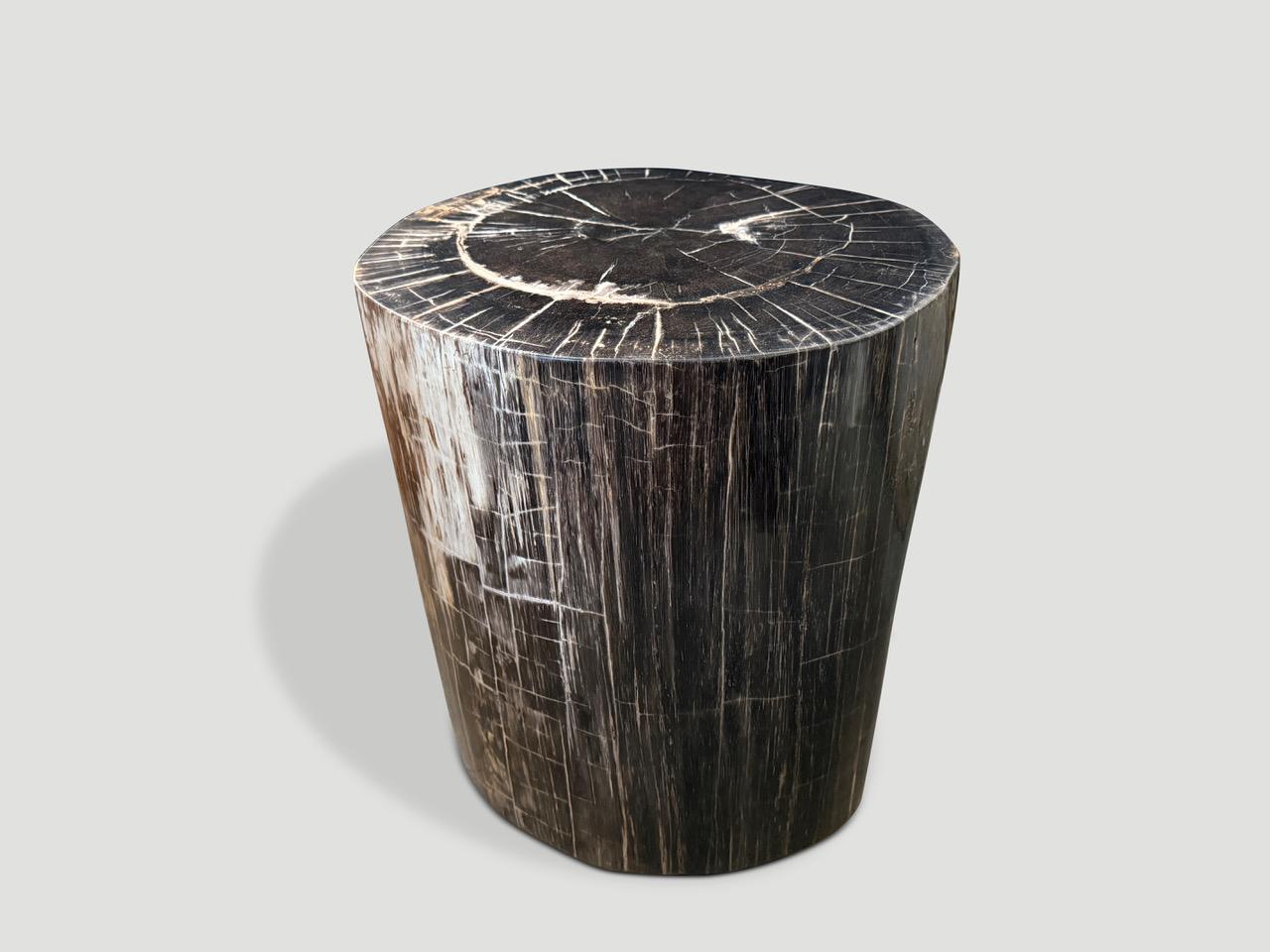 Andrianna Shamaris Exquisite High Quality Petrified Wood Side Table or Pedestal For Sale 1