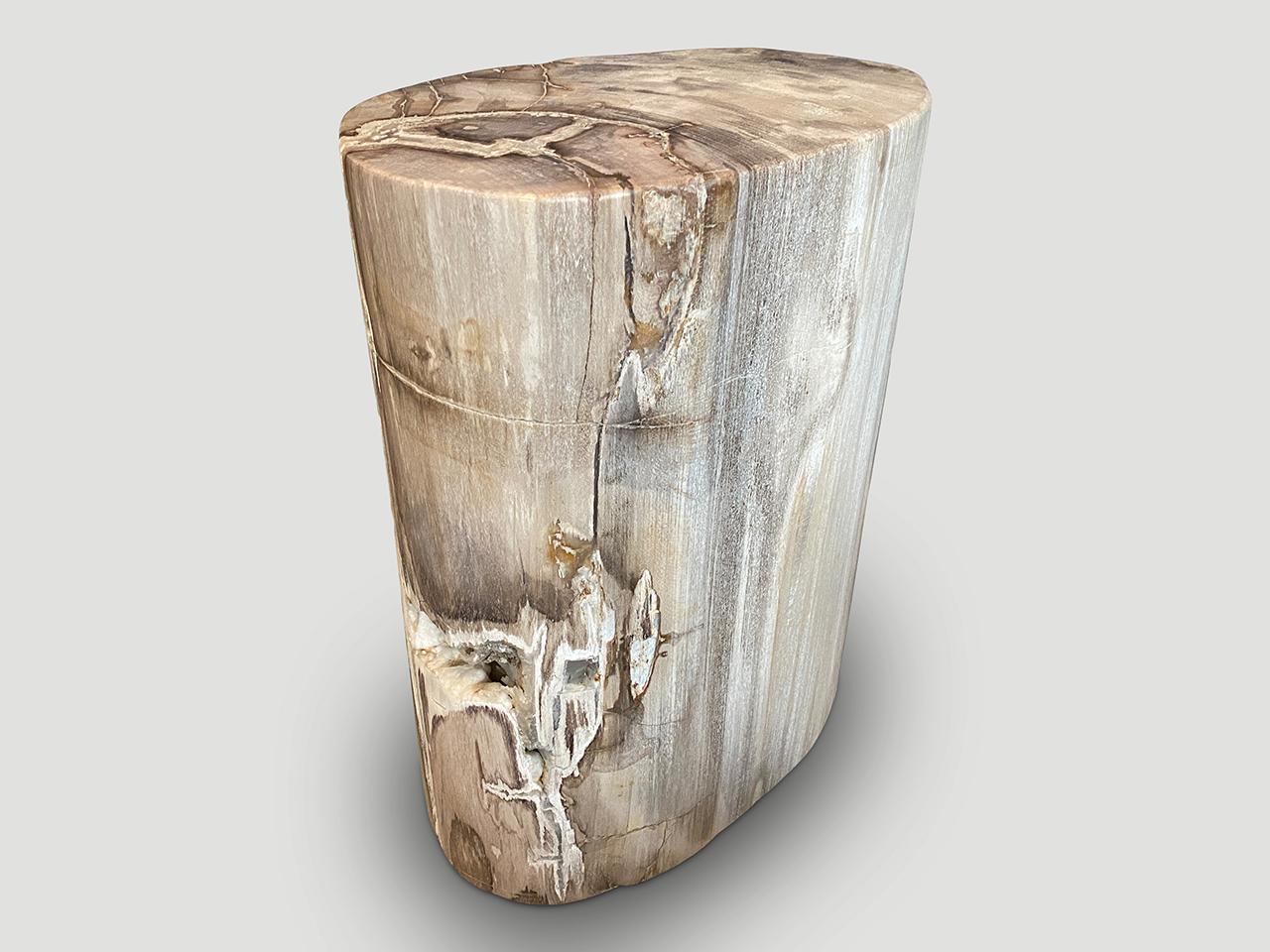 Andrianna Shamaris Exquisite High Quality Petrified Wood Side Table or Pedestal 1