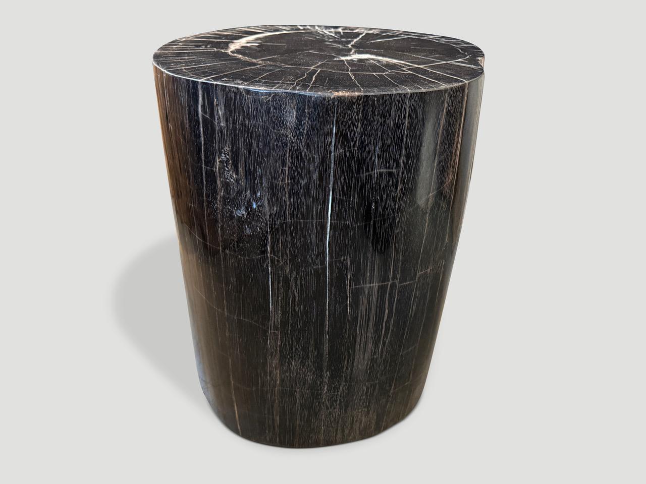 Andrianna Shamaris Exquisite High Quality Petrified Wood Side Table or Pedestal For Sale 2