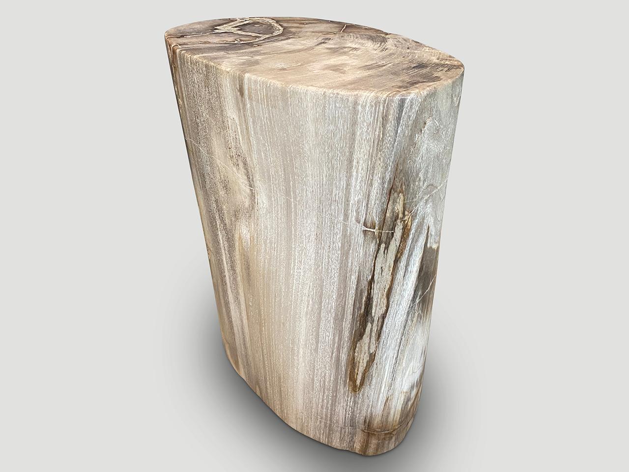 Andrianna Shamaris Exquisite High Quality Petrified Wood Side Table or Pedestal 2