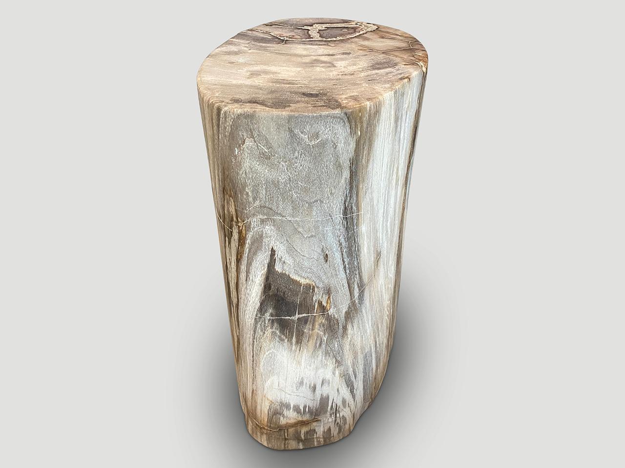 Andrianna Shamaris Exquisite High Quality Petrified Wood Side Table or Pedestal 3