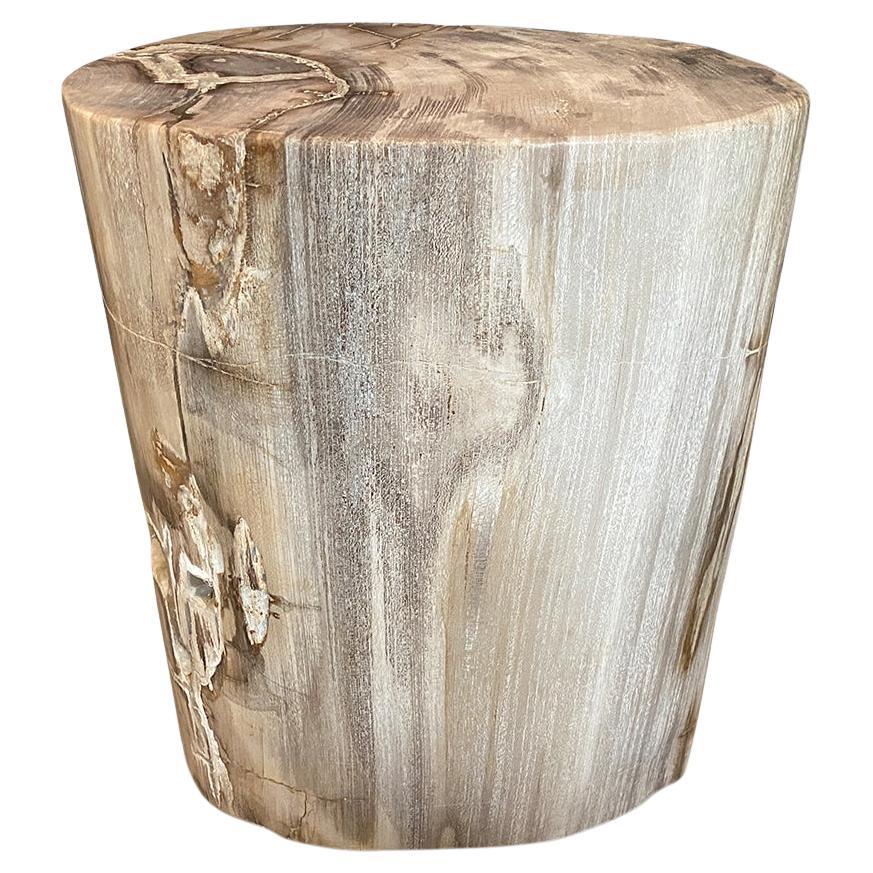 Andrianna Shamaris Exquisite High Quality Petrified Wood Side Table or Pedestal