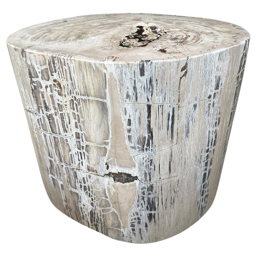 Andrianna Shamaris Exquisite High Quality Petrified Wood Side Table or Pedestal For Sale