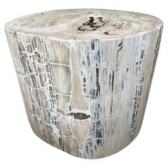 Andrianna Shamaris Exquisita Mesa Auxiliar o Pedestal de Madera Petrificada de Alta Calidad