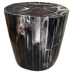 Andrianna Shamaris Exquisite High Quality Petrified Wood Side Table or Pedestal