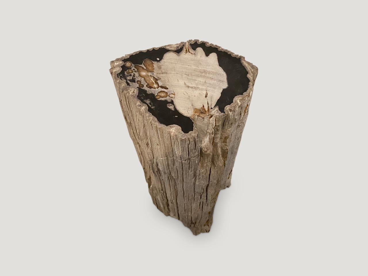 Impressive oversized high quality petrified wood side table with dramatic contrasting tones. It’s fascinating how Mother Nature produces these exquisite 40 million year old petrified teak logs with such contrasting colors with natural patterns