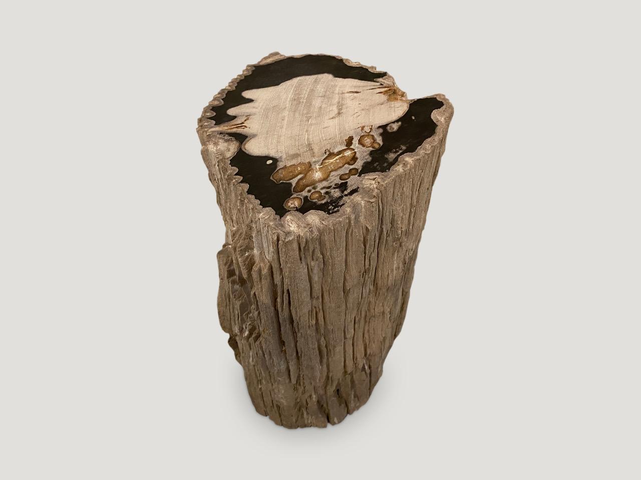 Organic Modern Andrianna Shamaris Exquisite Petrified Wood Side Table