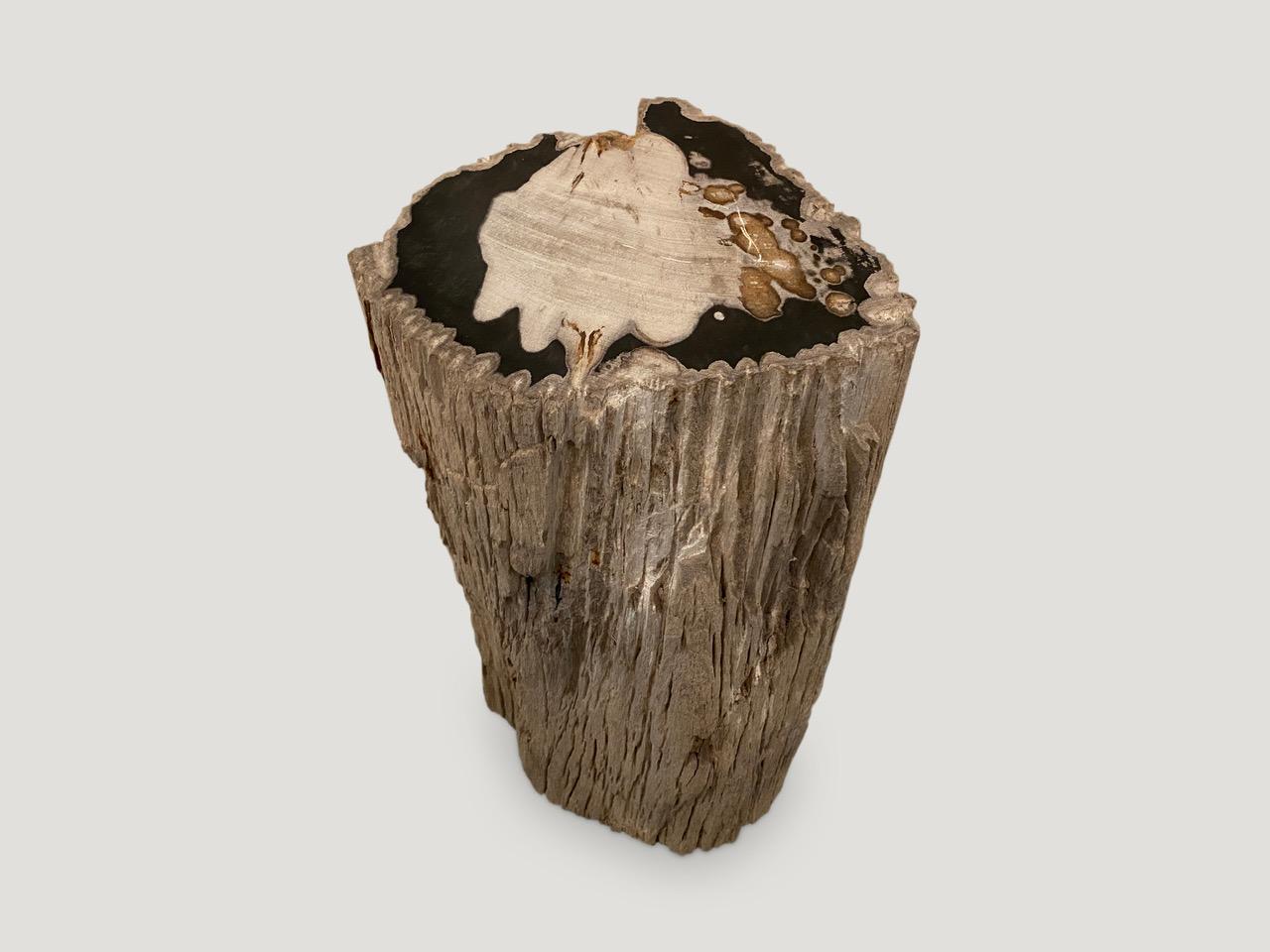 Andrianna Shamaris Exquisite Petrified Wood Side Table In Excellent Condition In New York, NY