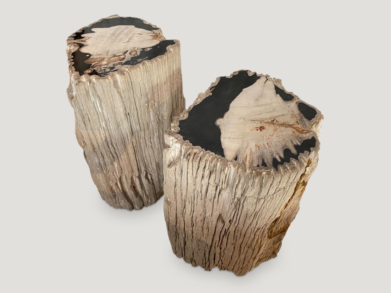 Andrianna Shamaris Exquisite Petrified Wood Side Table 2