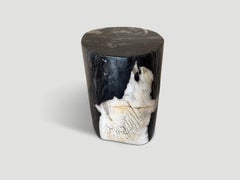 Andrianna Shamaris Exquisite Super Smooth Petrified Wood Side Table