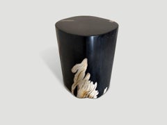 Andrianna Shamaris Exquisite Super Smooth Petrified Wood Side Table
