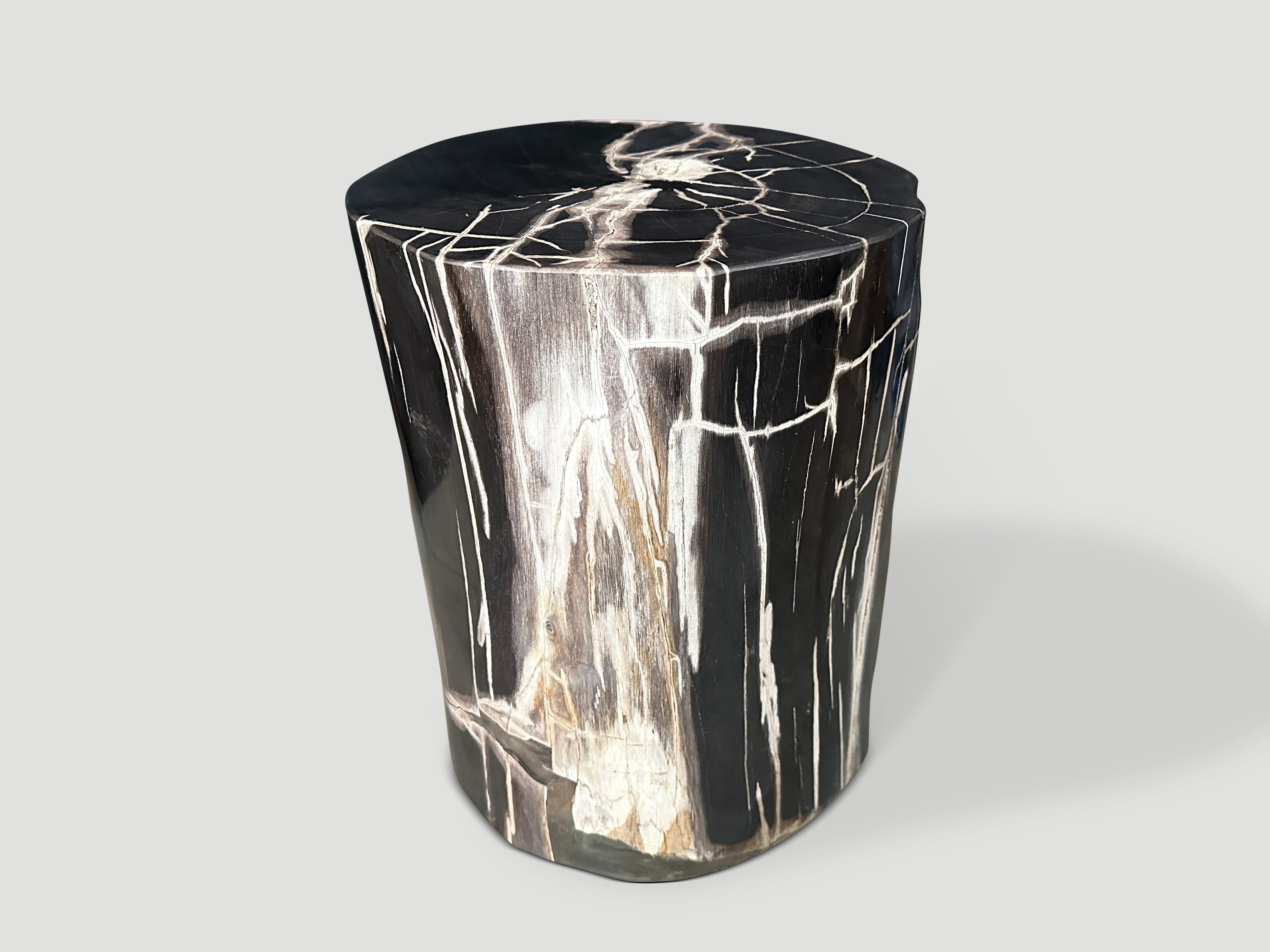 Andrianna Shamaris Exquisite Super Smooth Petrified Wood Side Table In Excellent Condition For Sale In New York, NY