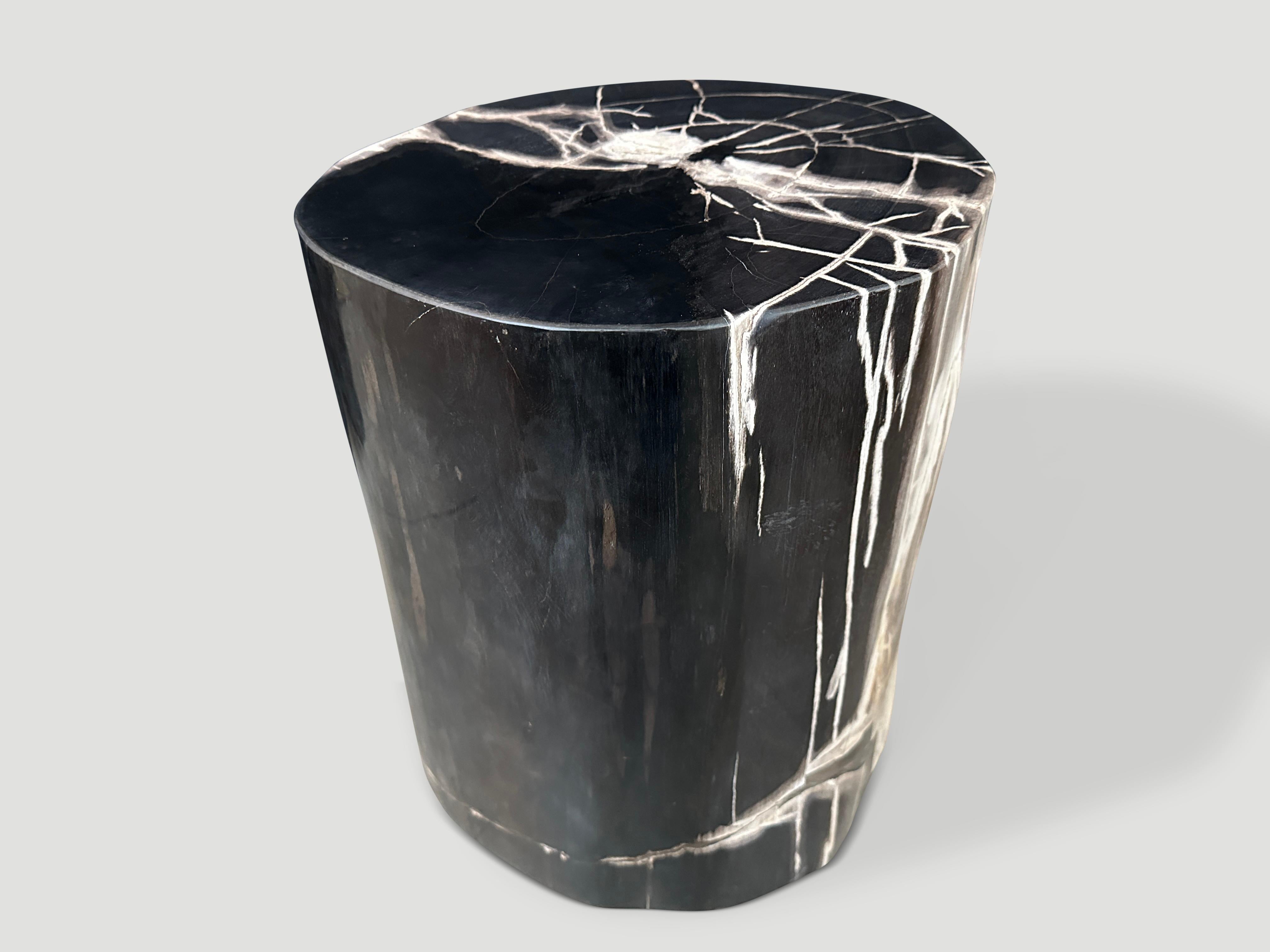 Contemporary Andrianna Shamaris Exquisite Super Smooth Petrified Wood Side Table For Sale