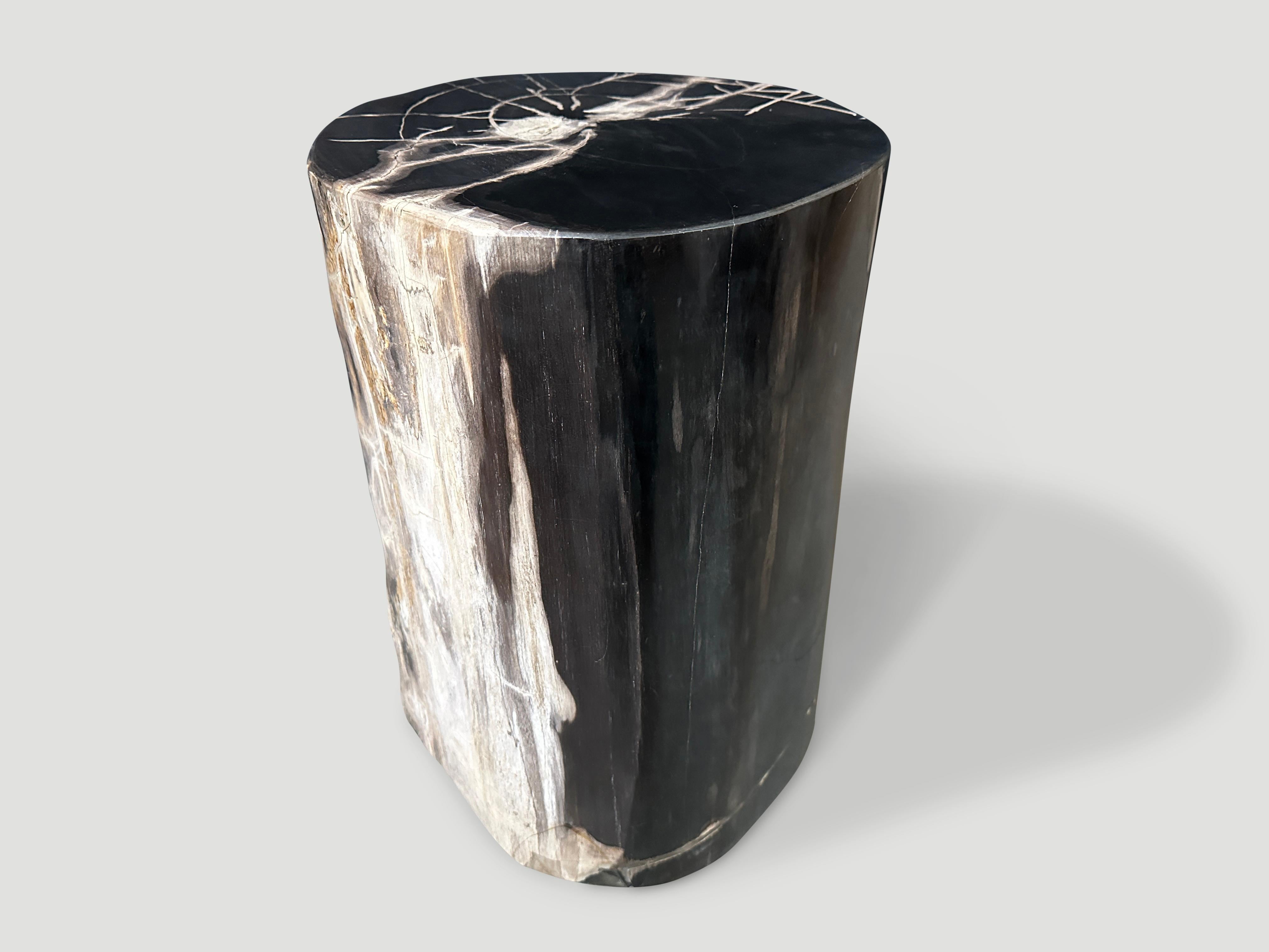 Andrianna Shamaris Exquisite Super Smooth Petrified Wood Side Table For Sale 1