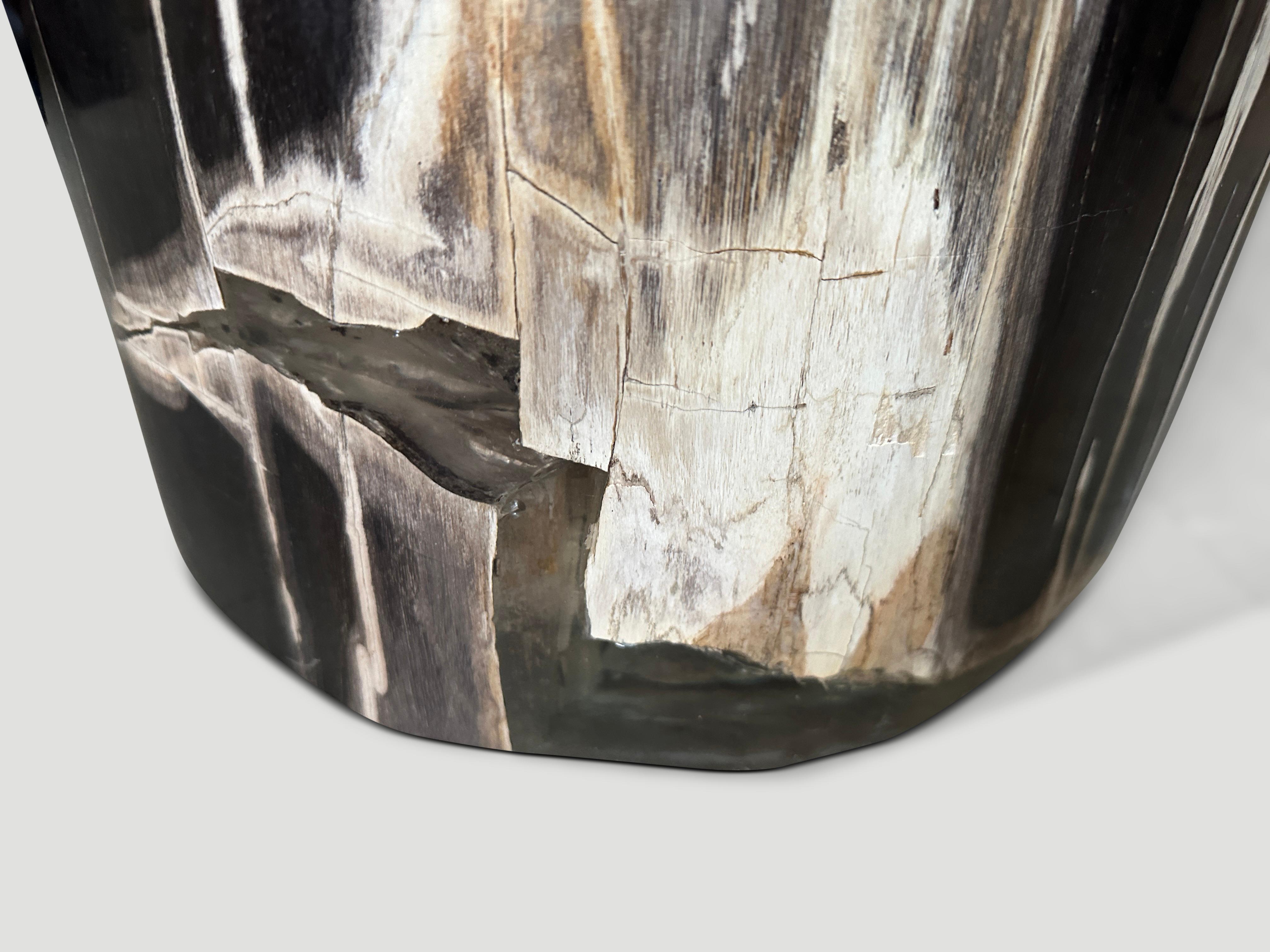 Andrianna Shamaris Exquisite Super Smooth Petrified Wood Side Table For Sale 2