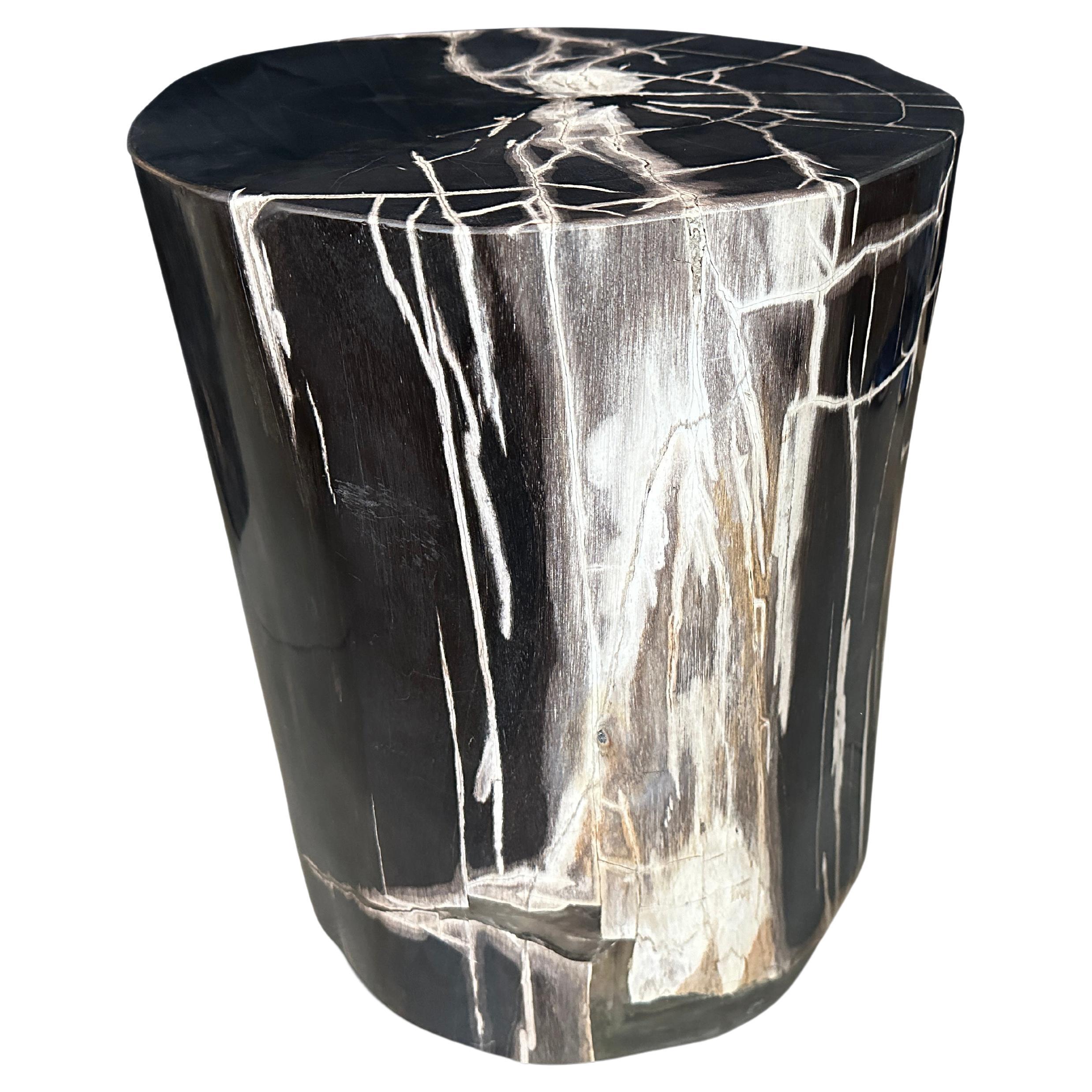 Andrianna Shamaris Exquisite Super Smooth Petrified Wood Side Table For Sale
