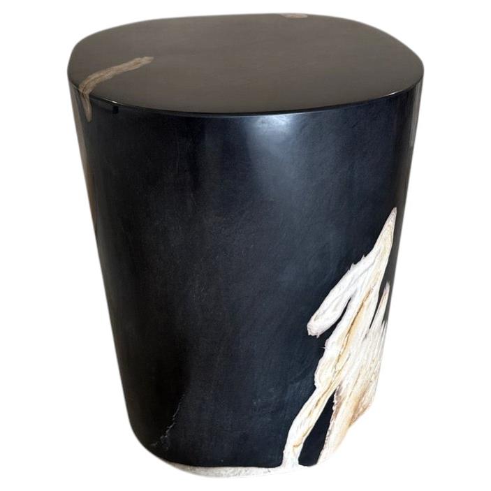 Andrianna Shamaris exquise table d'appoint en bois pétrifié très lisse en vente
