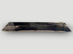Andrianna Shamaris Exquisite Super Smooth Petrified Wood Slab