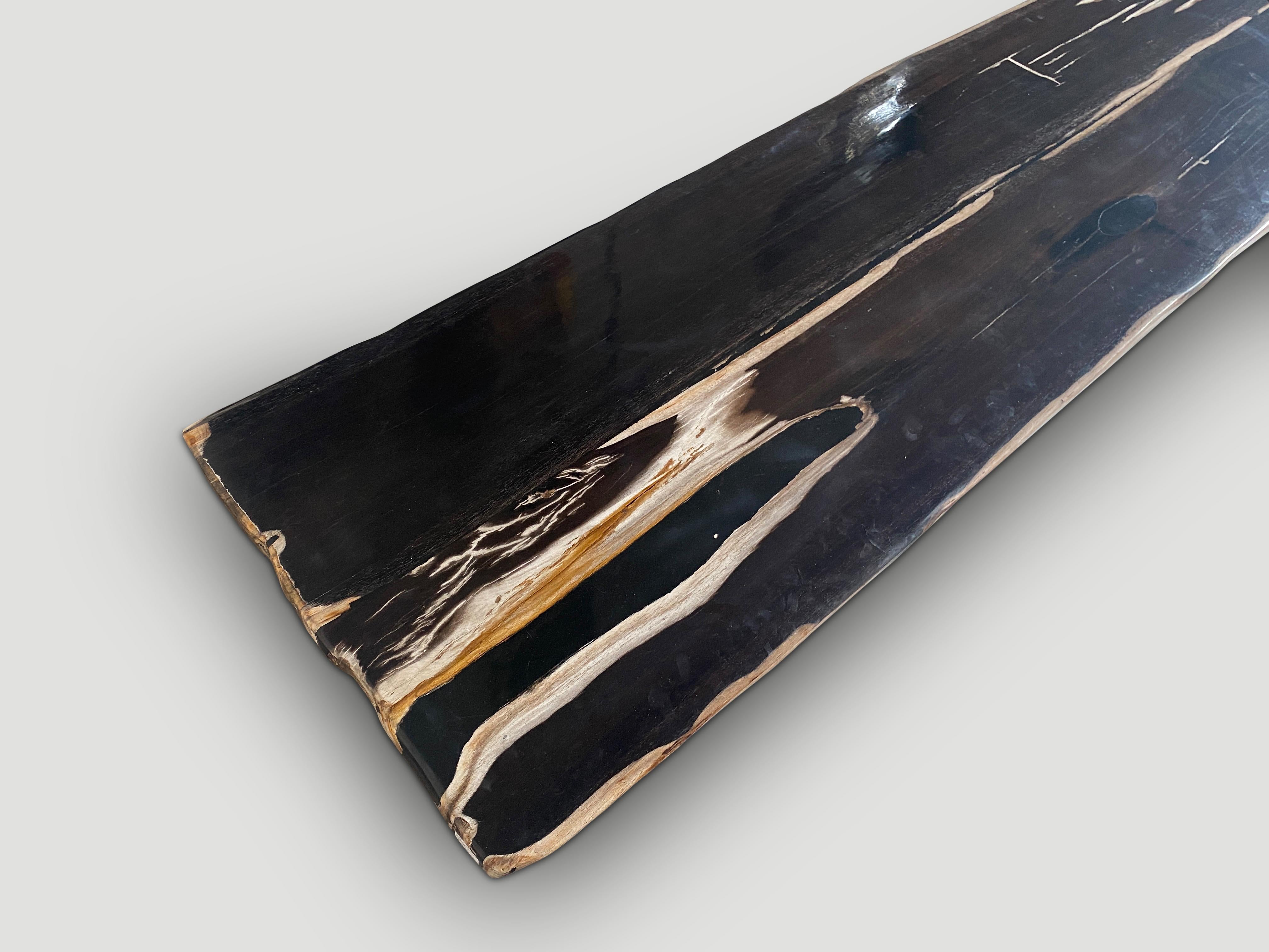 Contemporary Andrianna Shamaris Exquisite Super Smooth Petrified Wood Slab