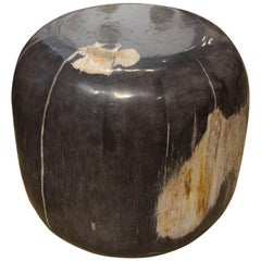 Andrianna Shamaris Extra Large Drum Shape Petrified Wood Side Table