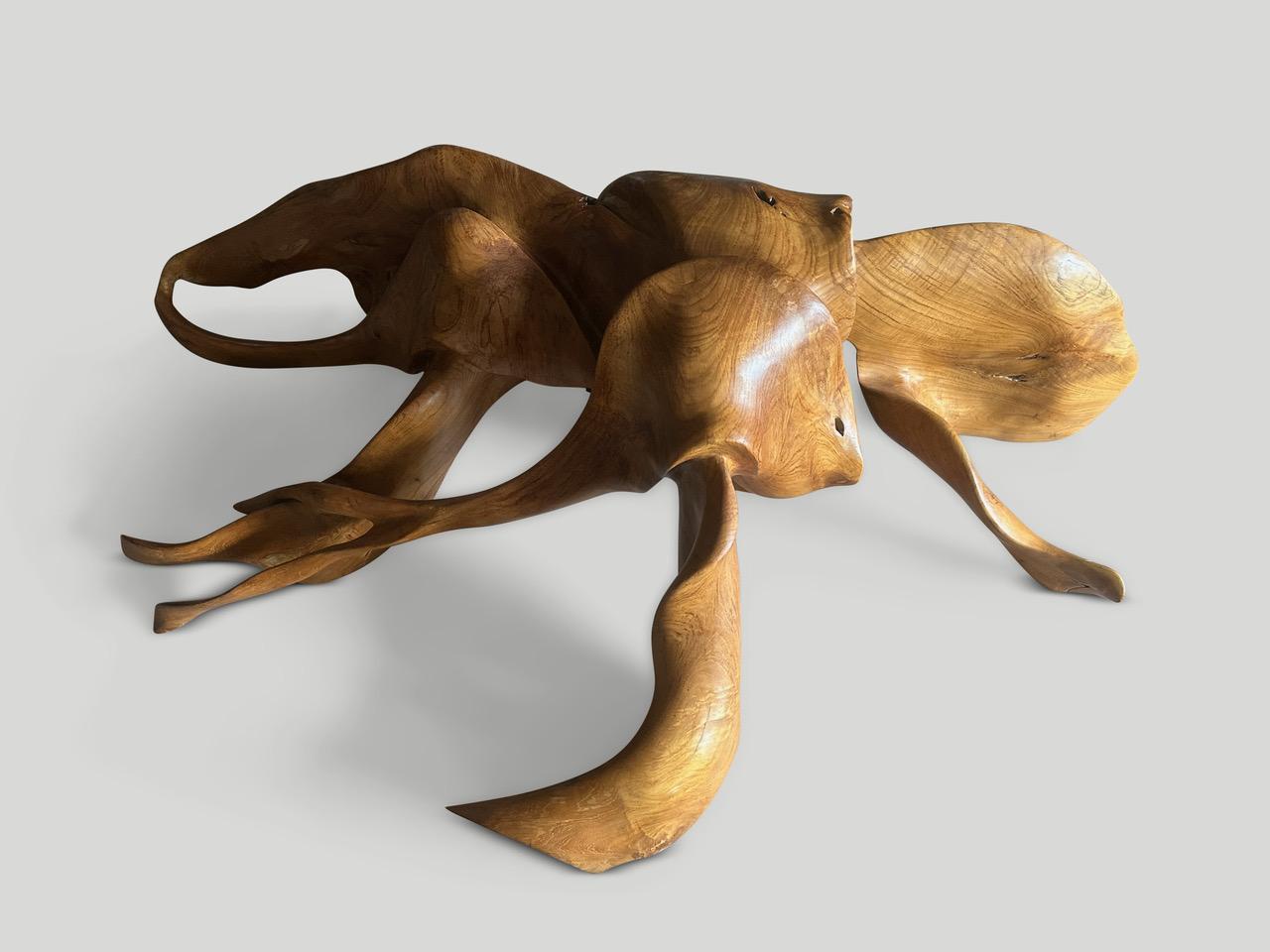 Impressionnante table console sculpturale qui flotte sur le mur. Une racine de teck vieille de cent ans est poncée et taillée pour produire cette table console unique en son genre. À la fois utilisable et sculptural. Finition avec une huile