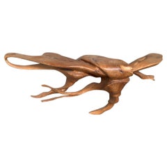 Andrianna Shamaris Floating Sculptural Teak Wood Console Table