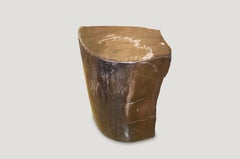 Andrianna Shamaris Fragment Petrified Wood Side Table