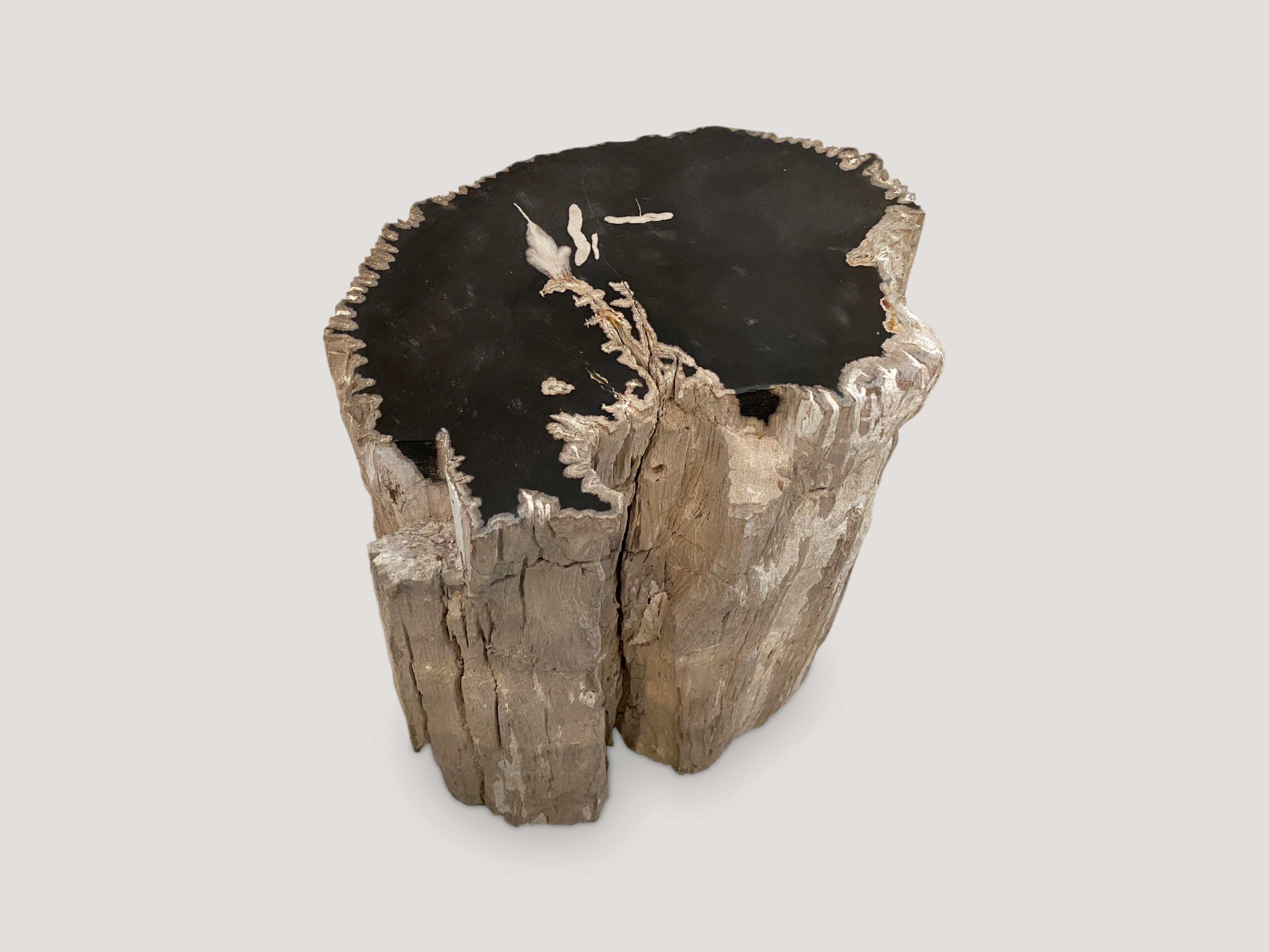 Organic Modern Andrianna Shamaris Fragment Petrified Wood Side Table or Coffee Table