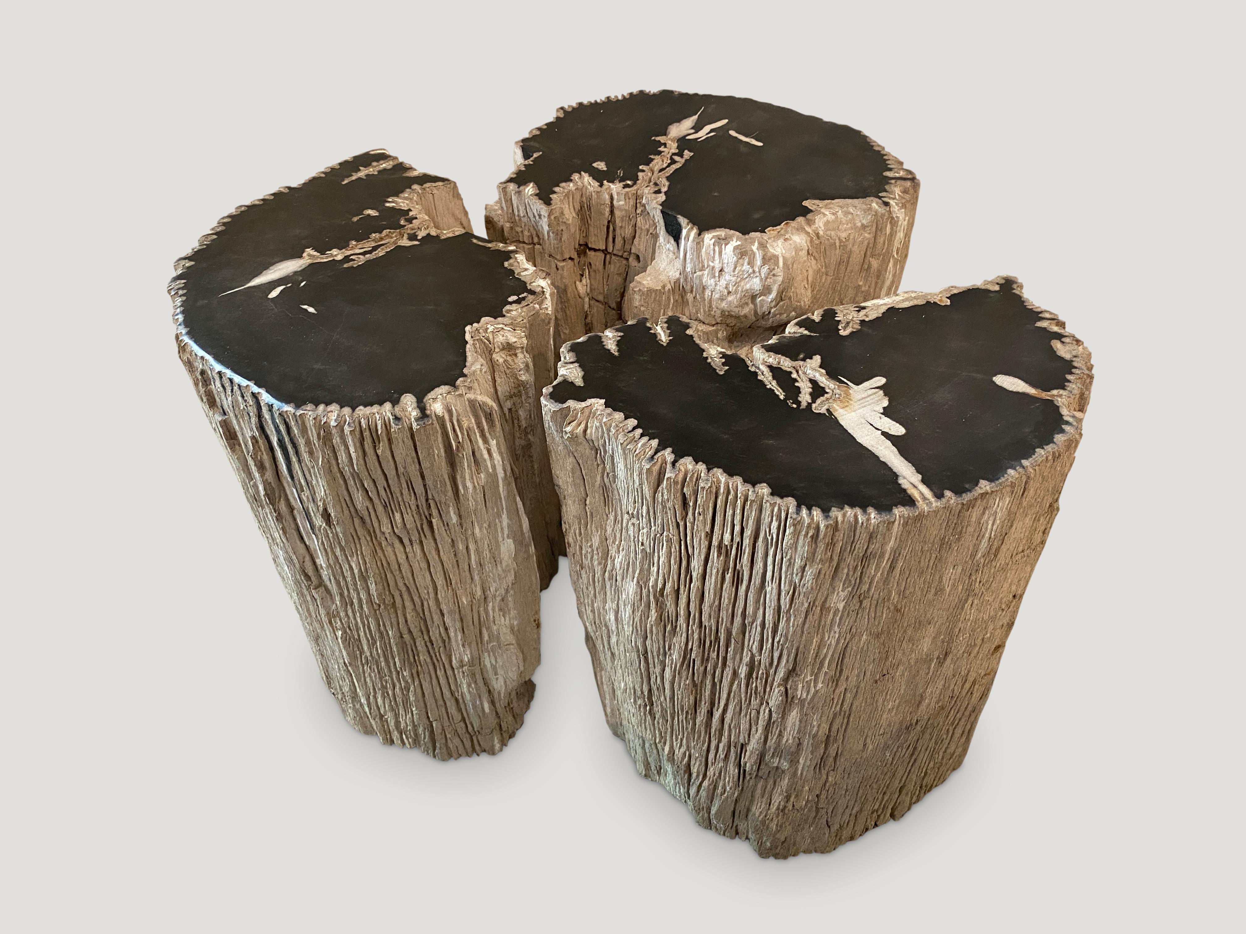 Andrianna Shamaris Fragment Petrified Wood Side Table or Coffee Table In Excellent Condition In New York, NY