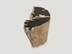 Andrianna Shamaris Fragment Petrified Wood Side Table or Coffee Table