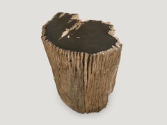 Andrianna Shamaris Fragment Petrified Wood Side Table or Coffee Table
