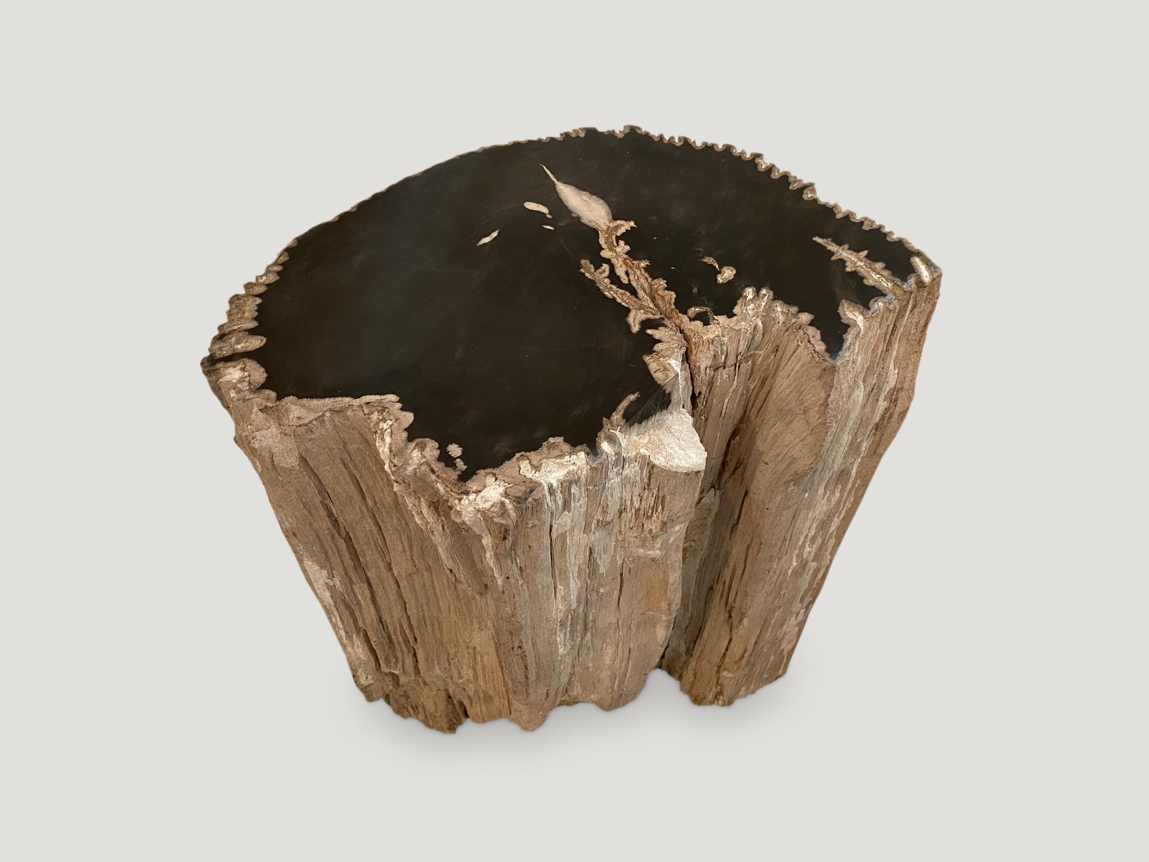 Organic Modern Andrianna Shamaris Fragment Petrified Wood Side Table or Coffee Table