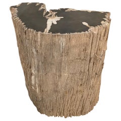 Andrianna Shamaris Fragment Petrified Wood Side Table or Coffee Table