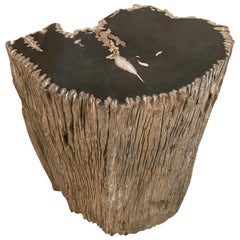 Andrianna Shamaris Fragment Petrified Wood Side Table or Coffee Table
