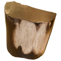 Andrianna Shamaris Fragmented Petrified Wood Side Table