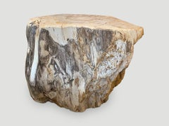 Andrianna Shamaris Grey and Beige Toned Petrified Wood Side Table