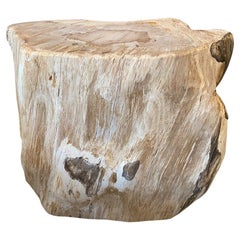 Andrianna Shamaris Grey and Beige Toned Petrified Wood Side Table