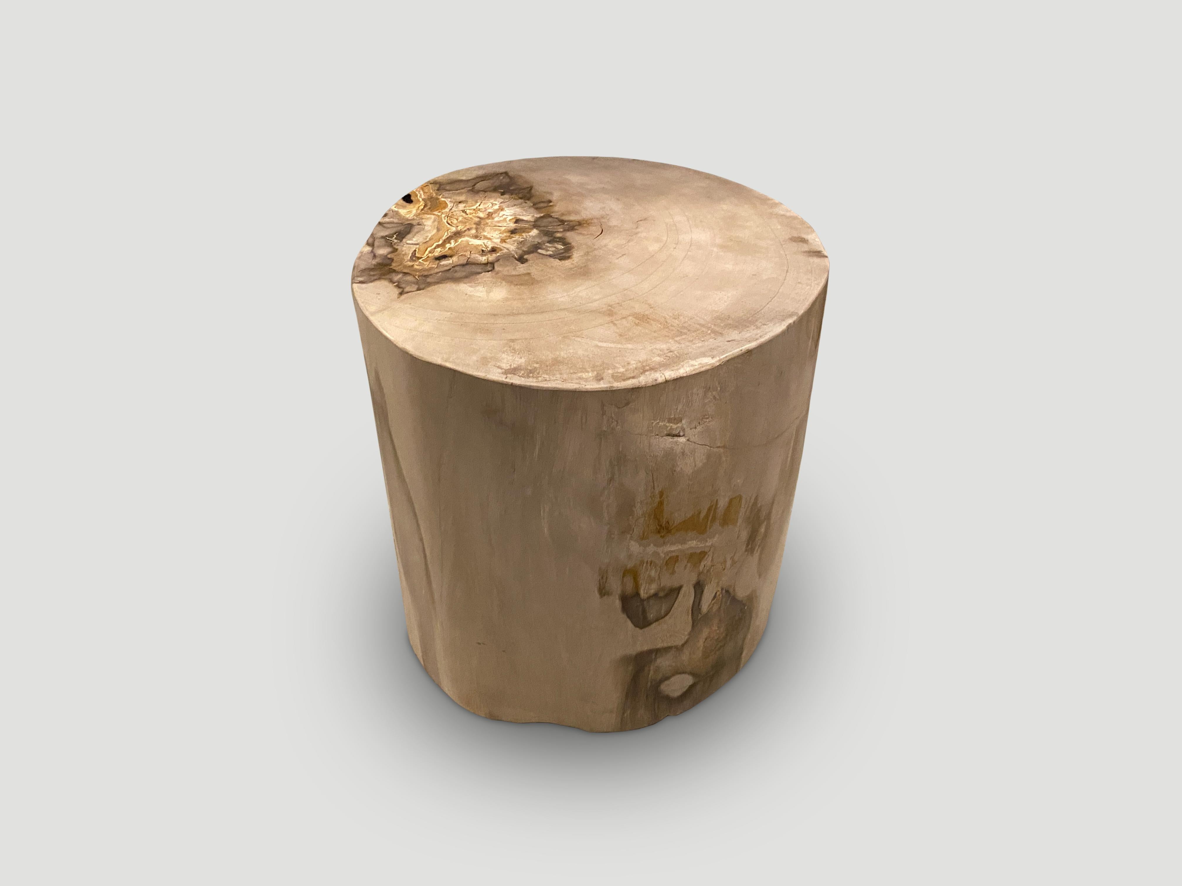 Andrianna Shamaris Grey Minimalist High Quality Petrified Wood Side Table In Excellent Condition For Sale In New York, NY