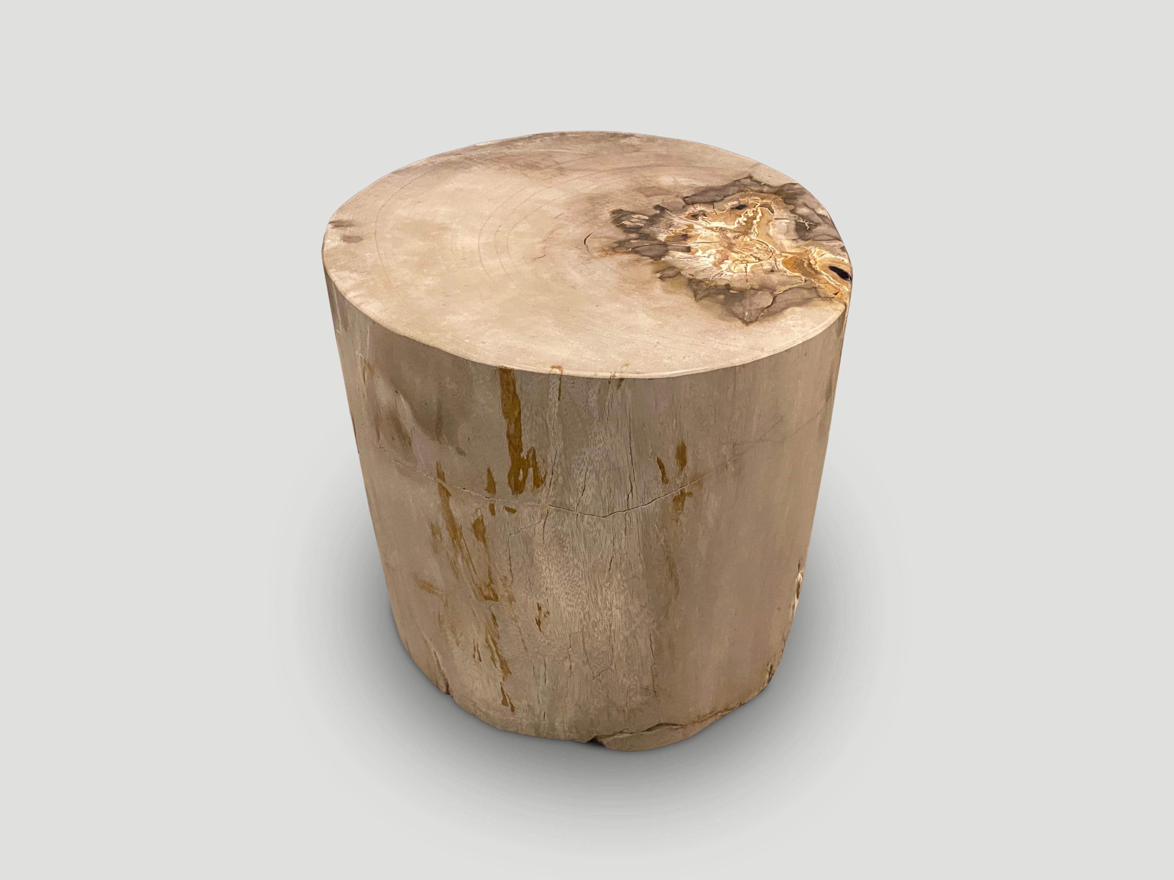 18th Century and Earlier Andrianna Shamaris Grey Minimalist High Quality Petrified Wood Side Table For Sale