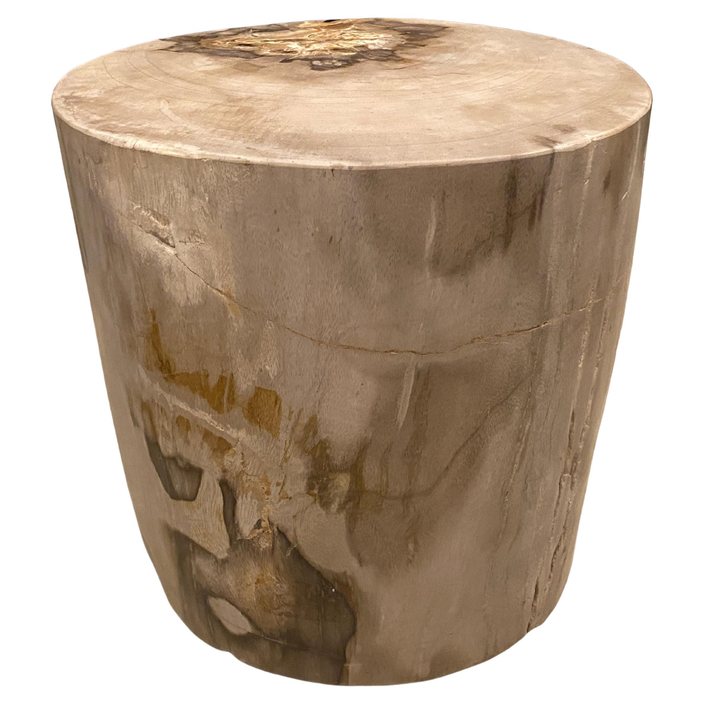 Andrianna Shamaris Minimalist High Quality Petrified Wood Side Table ... - High-Quality Minimalist Side Tables