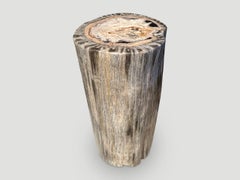 Andrianna Shamaris Grey Petrified Wood Side Table
