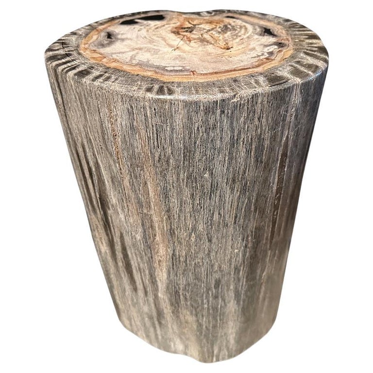 Andrianna Shamaris Grey Petrified Wood Side Table For Sale at 1stDibs