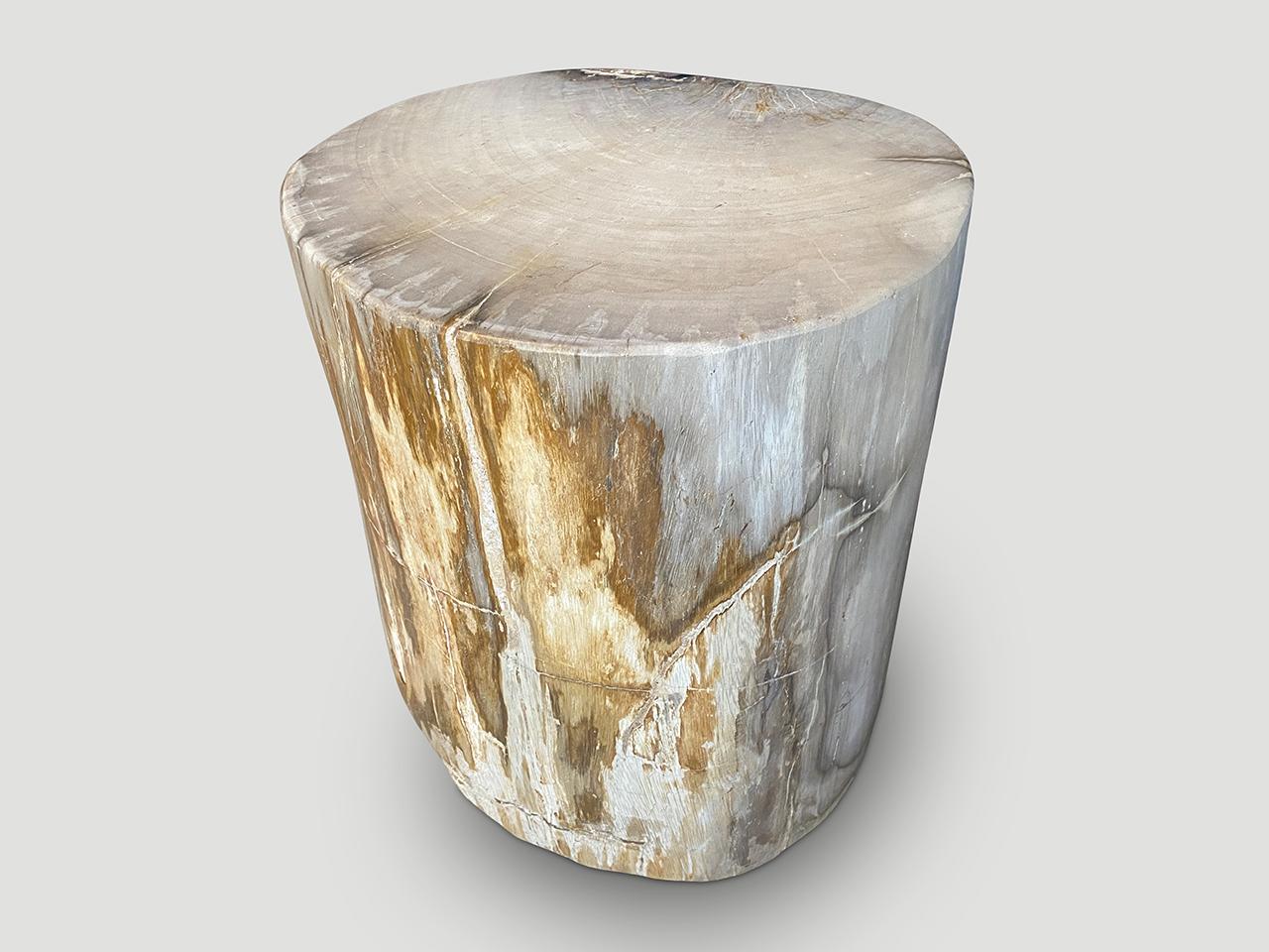 High quality petrified wood side table in beautiful grey tones and contrasting markings. Such a great combination. It’s fascinating how Mother Nature produces these exquisite 40 million year old petrified teak logs with such contrasting colors and