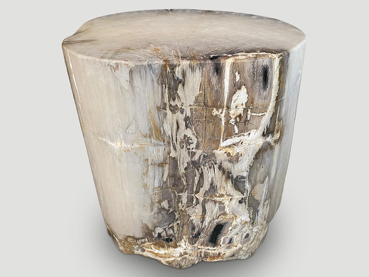 petrified wood accent table