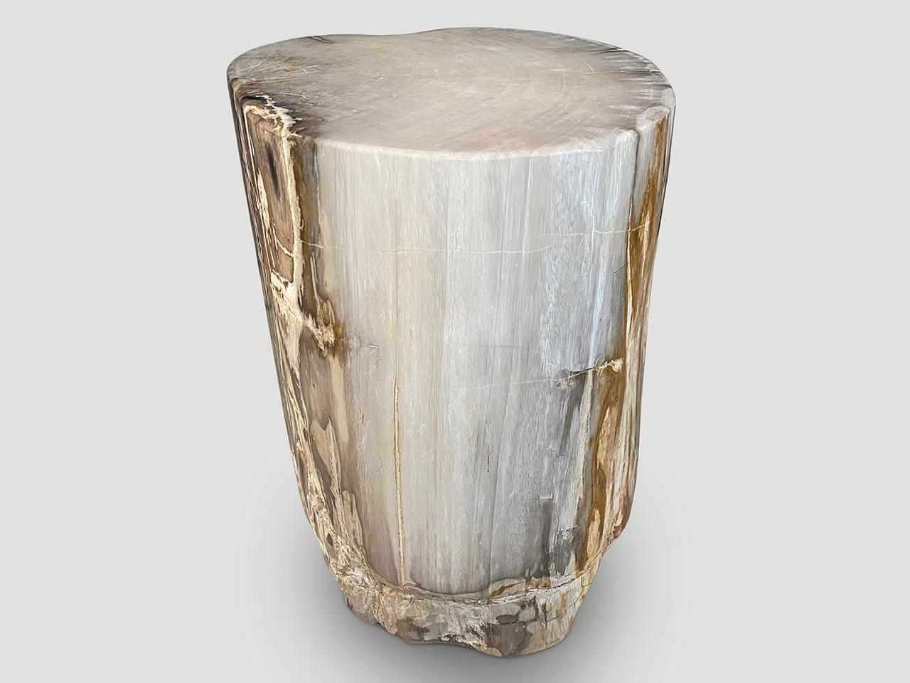 Organic Modern Andrianna Shamaris Grey Toned High Quality Petrified Wood Side Table For Sale