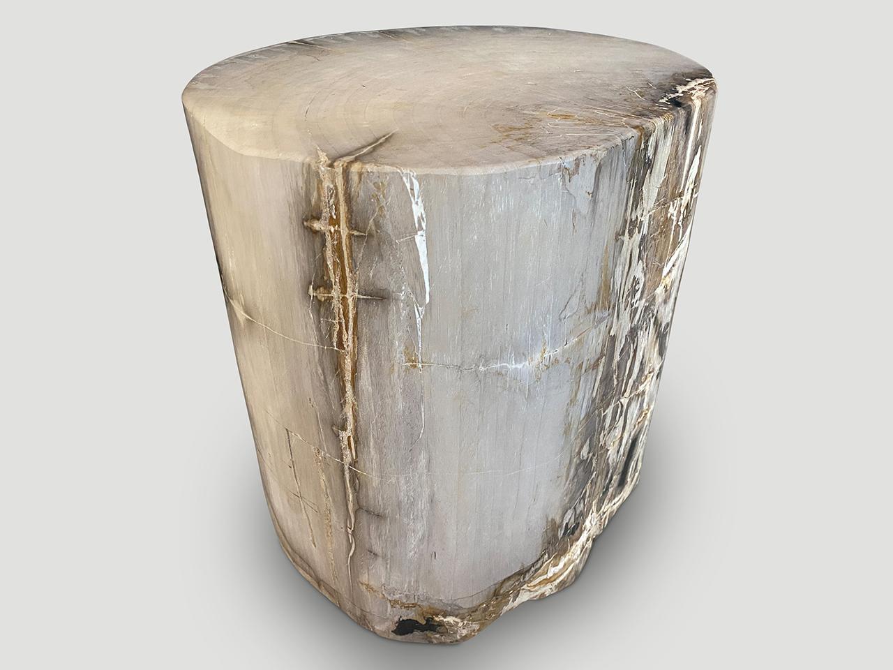 Andrianna Shamaris Grey Toned High Quality Petrified Wood Side Table In Excellent Condition For Sale In New York, NY
