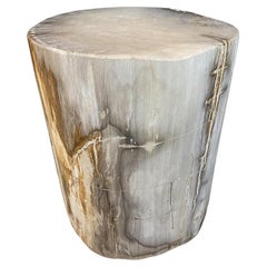 Andrianna Shamaris Grey Toned High Quality Petrified Wood Side Table