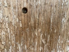 Andrianna Shamaris Hand Carved Wooden Panel