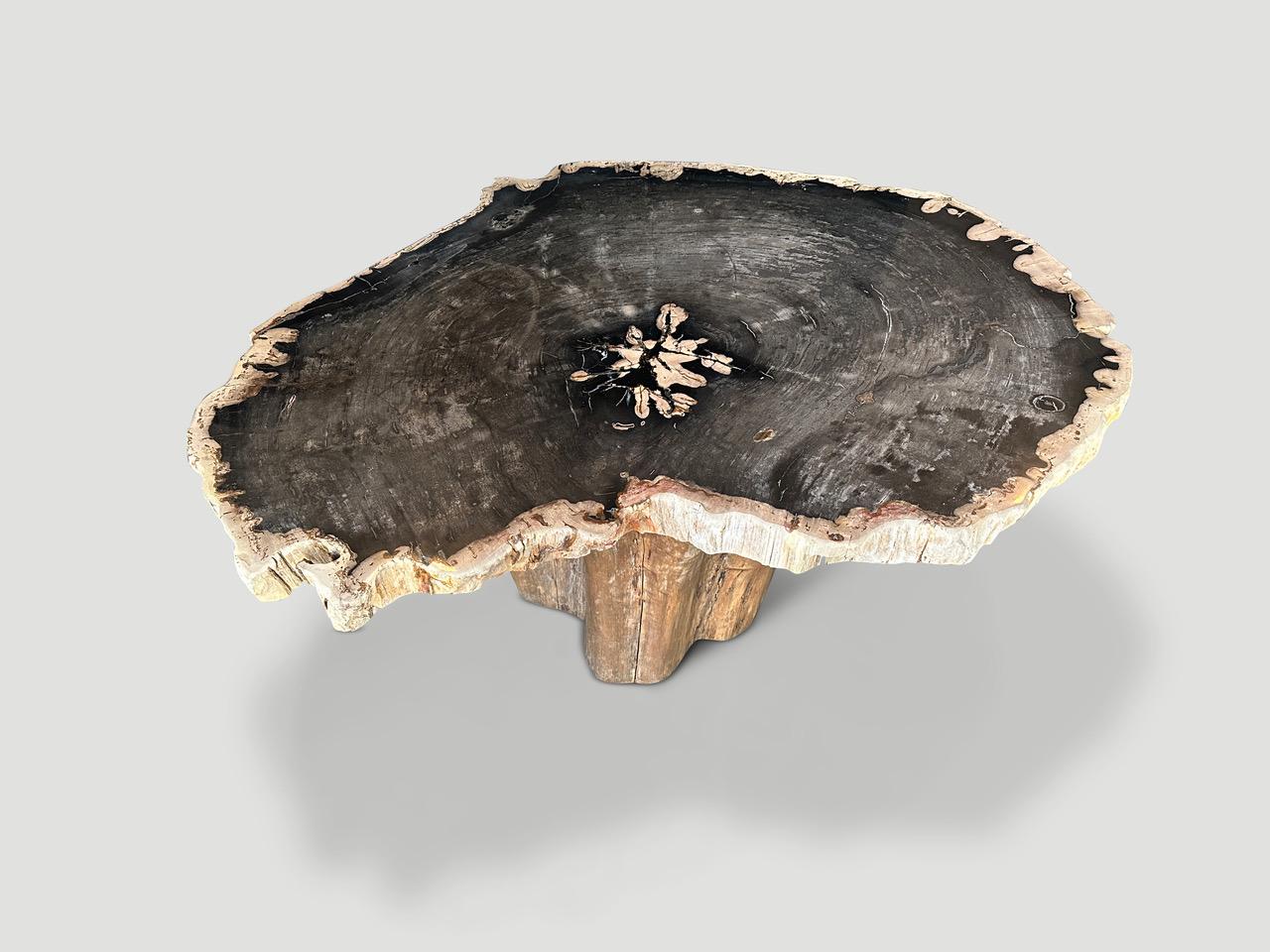 Organic Modern Andrianna Shamaris Heart Shaped Petrified Wood Coffee Table With Teak Base