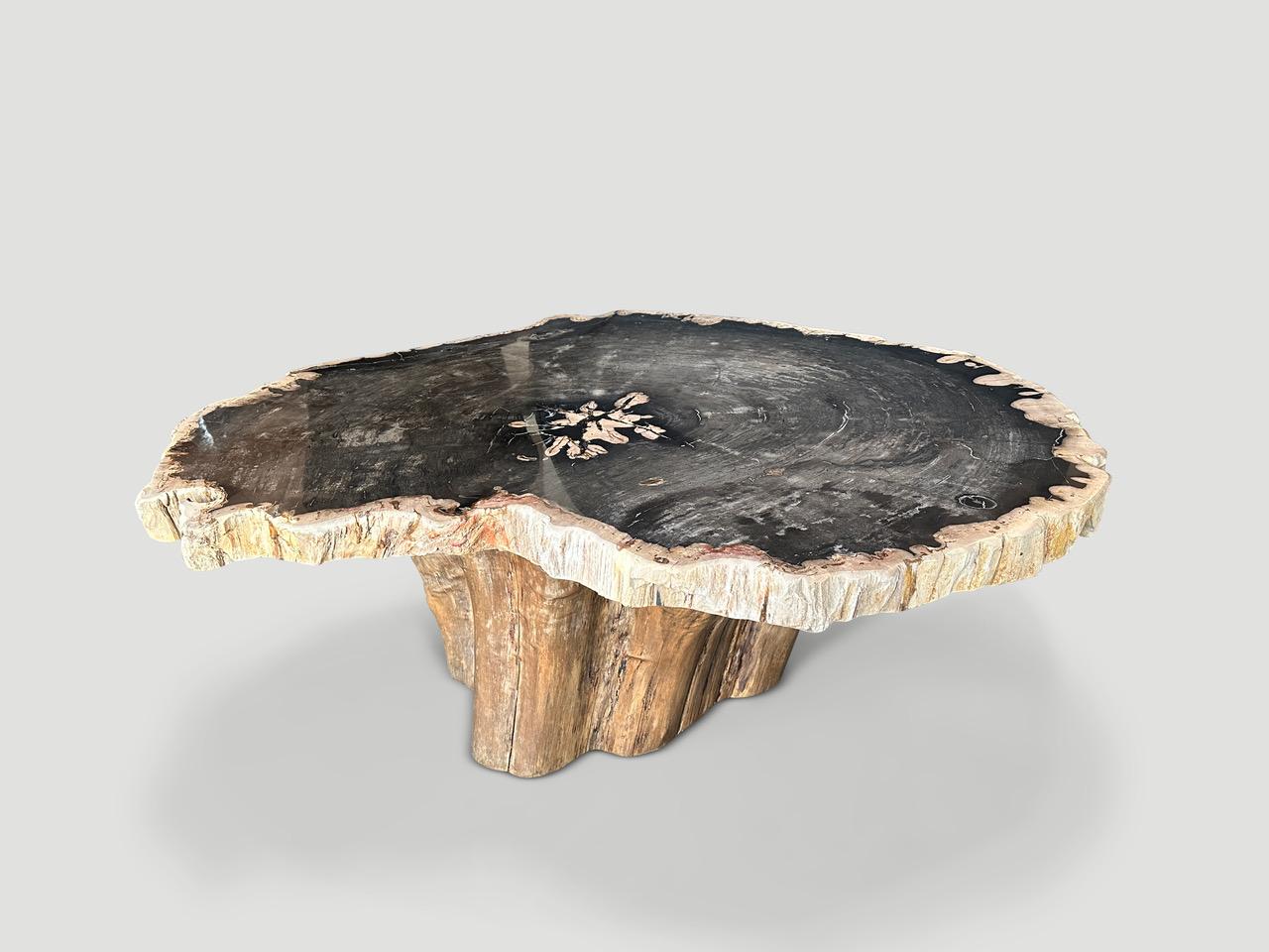 Contemporary Andrianna Shamaris Heart Shaped Petrified Wood Coffee Table With Teak Base